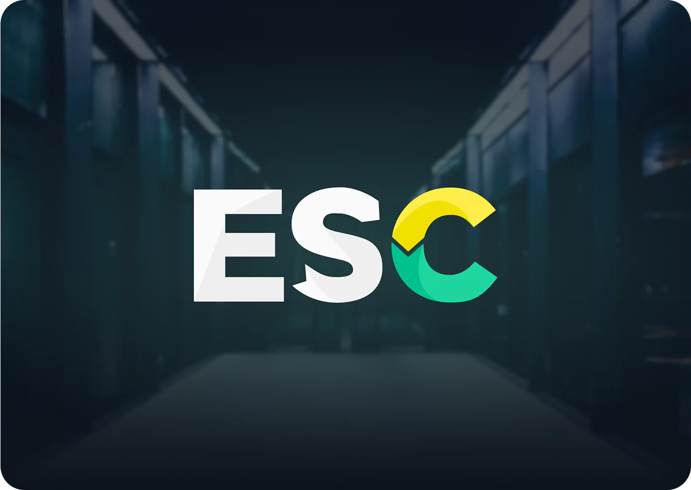 2016 collage of photos