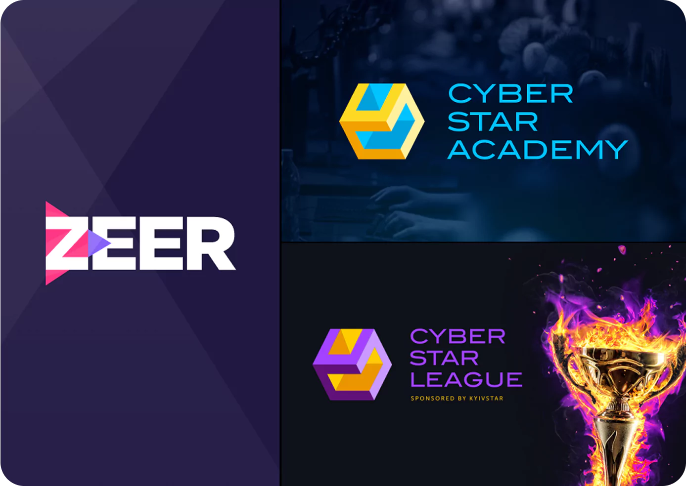 2017 collage of photos