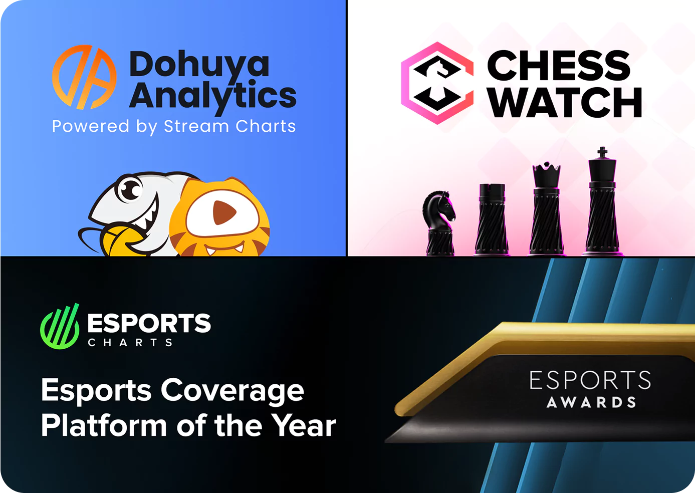 2023 collage of photos